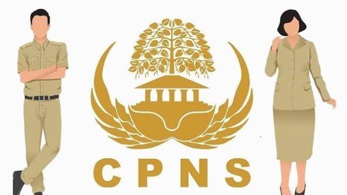 Update Terbaru CPNS: Tips Lolos Seleksi Administrasi dengan Mudah