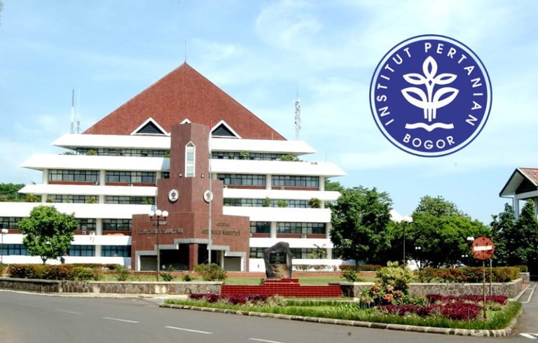 Rahasia Sukses Persiapan Ujian Mandiri IPB dari Alumni